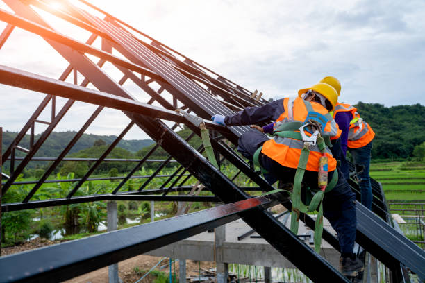 Best Roof Gutter Cleaning  in Flatwoods, KY