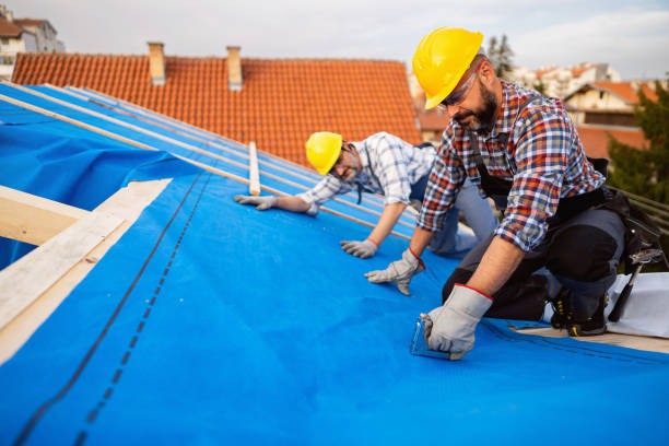 Best Roof Leak Repair  in Flatwoods, KY